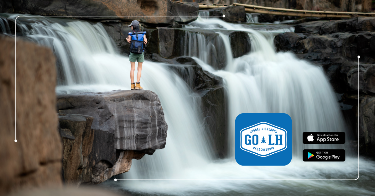 Go Laurel case Story